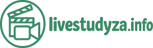 Logo livestudyza.info